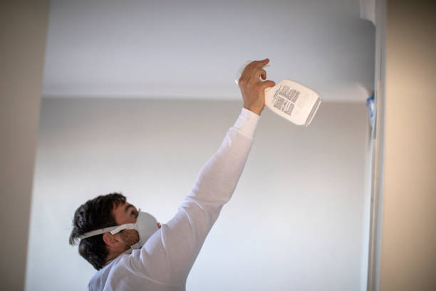 Best Mold Removal Company Near Me  in Port Byron, IL