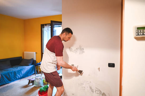 Best Mold Removal Specialists  in Port Byron, IL